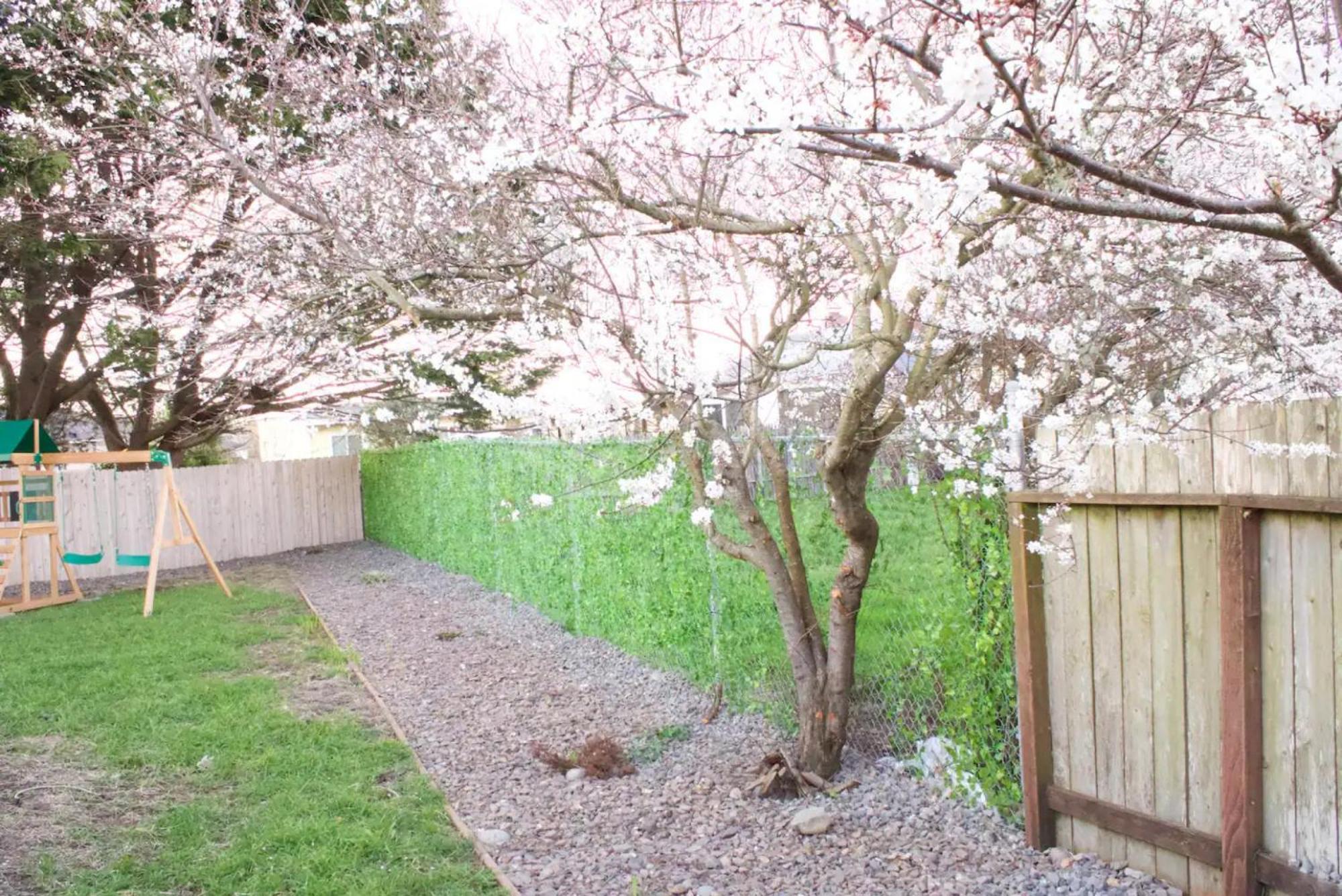 Private Home - Playground, Jumping Mat, Bbq, Darts, Firepit, Gazebo, 4 Smart Tvs, White Cotton Bedding, - The Redwood Cul-De Sac Beach Retreat كريسينت سيتي المظهر الخارجي الصورة